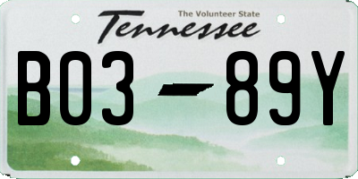 TN license plate B0389Y