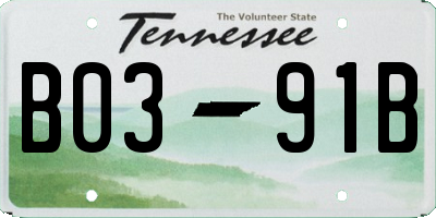 TN license plate B0391B