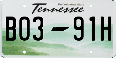 TN license plate B0391H