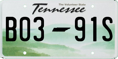 TN license plate B0391S
