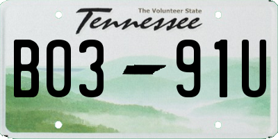 TN license plate B0391U