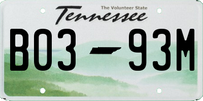 TN license plate B0393M
