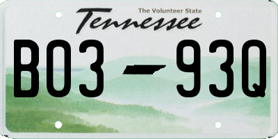 TN license plate B0393Q