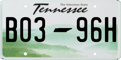 TN license plate B0396H