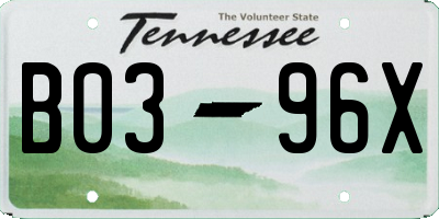 TN license plate B0396X