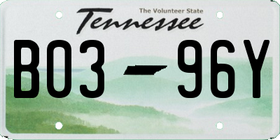 TN license plate B0396Y