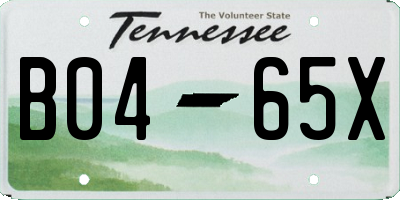 TN license plate B0465X