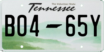 TN license plate B0465Y