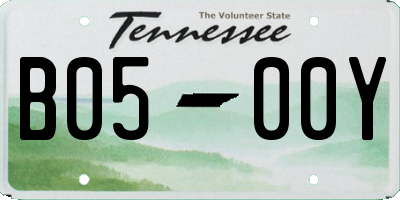 TN license plate B0500Y