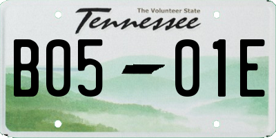 TN license plate B0501E
