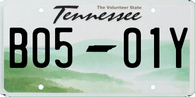 TN license plate B0501Y