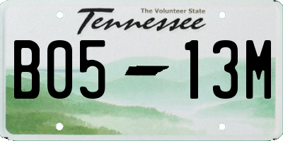 TN license plate B0513M