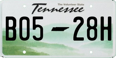 TN license plate B0528H