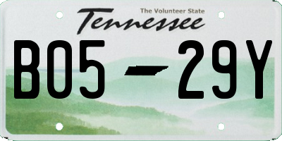 TN license plate B0529Y
