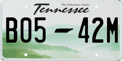 TN license plate B0542M