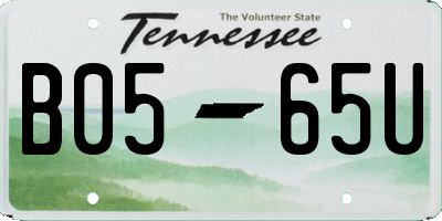 TN license plate B0565U