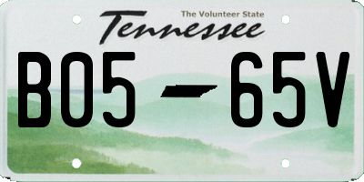 TN license plate B0565V