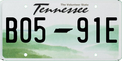 TN license plate B0591E