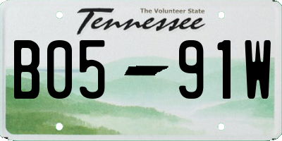 TN license plate B0591W