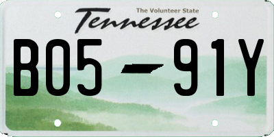 TN license plate B0591Y