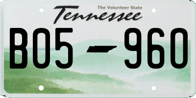 TN license plate B0596O