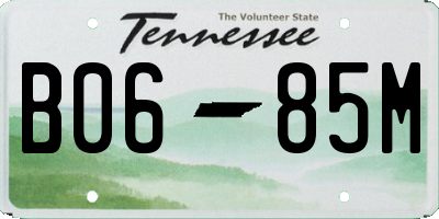 TN license plate B0685M