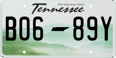 TN license plate B0689Y