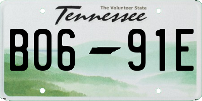 TN license plate B0691E