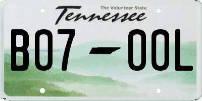 TN license plate B0700L