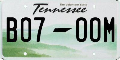 TN license plate B0700M