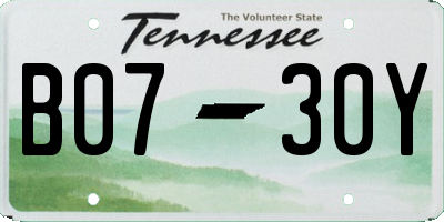 TN license plate B0730Y