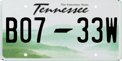 TN license plate B0733W