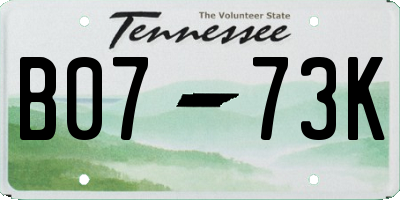 TN license plate B0773K