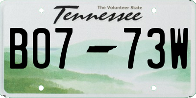 TN license plate B0773W