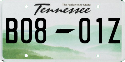 TN license plate B0801Z