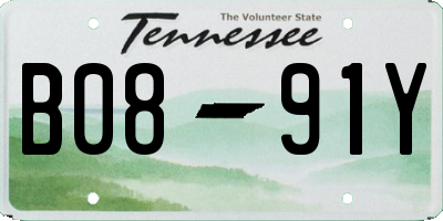 TN license plate B0891Y