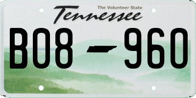 TN license plate B0896O