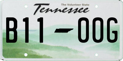TN license plate B1100G