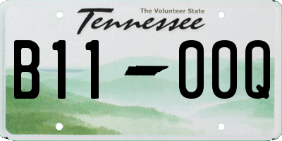 TN license plate B1100Q