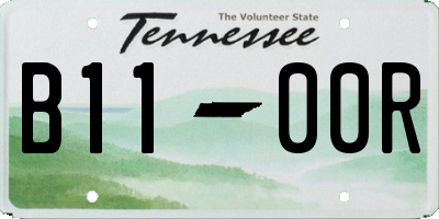 TN license plate B1100R