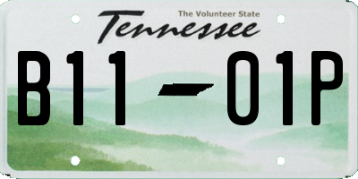 TN license plate B1101P