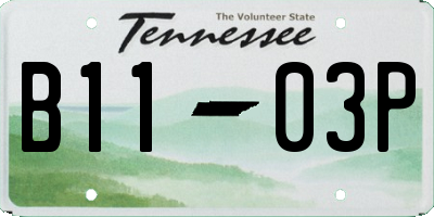TN license plate B1103P