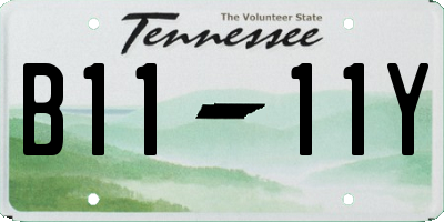 TN license plate B1111Y