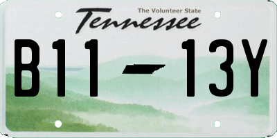 TN license plate B1113Y