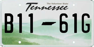 TN license plate B1161G