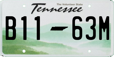 TN license plate B1163M
