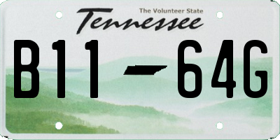 TN license plate B1164G