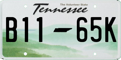 TN license plate B1165K