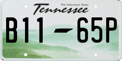 TN license plate B1165P
