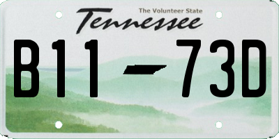 TN license plate B1173D